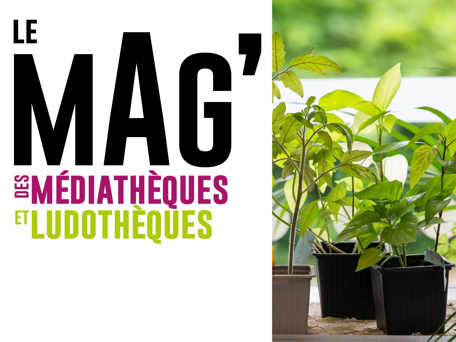 Le mag de l'automne 2024 | 