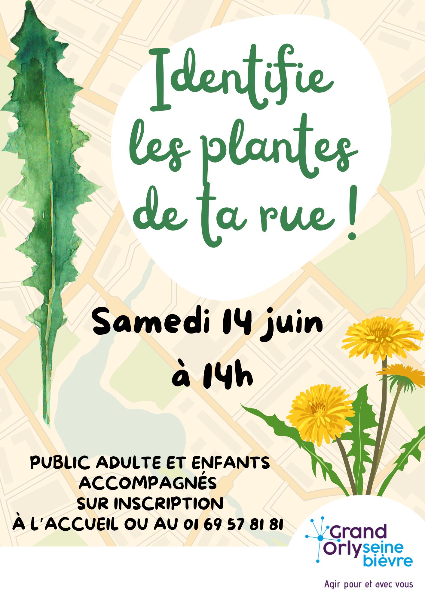 Identifie les plantes de ta rue ! | 